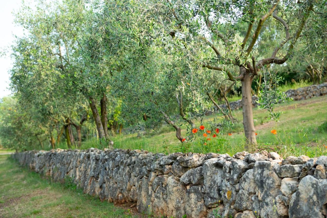 Agriturismo Sommavalle Vila Verona Exterior foto